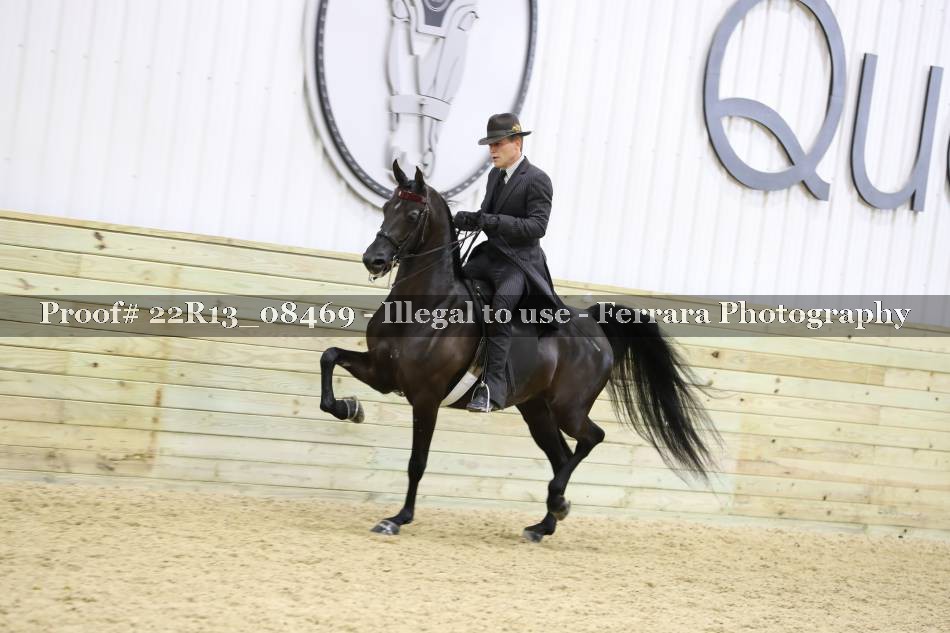 Proof 22R13_08469