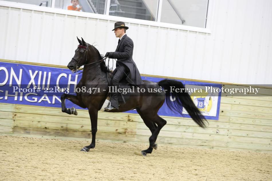 Proof 22R13_08471