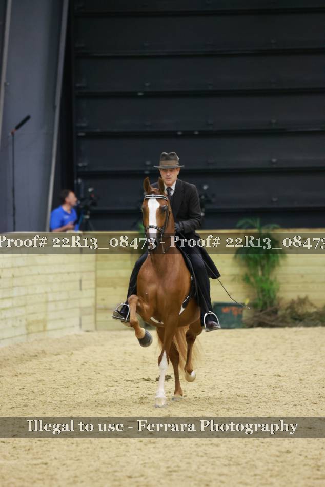 Proof 22R13_08473