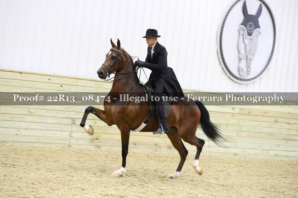 Proof 22R13_08474