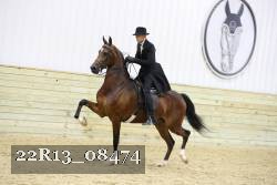 22R13_08474 proof