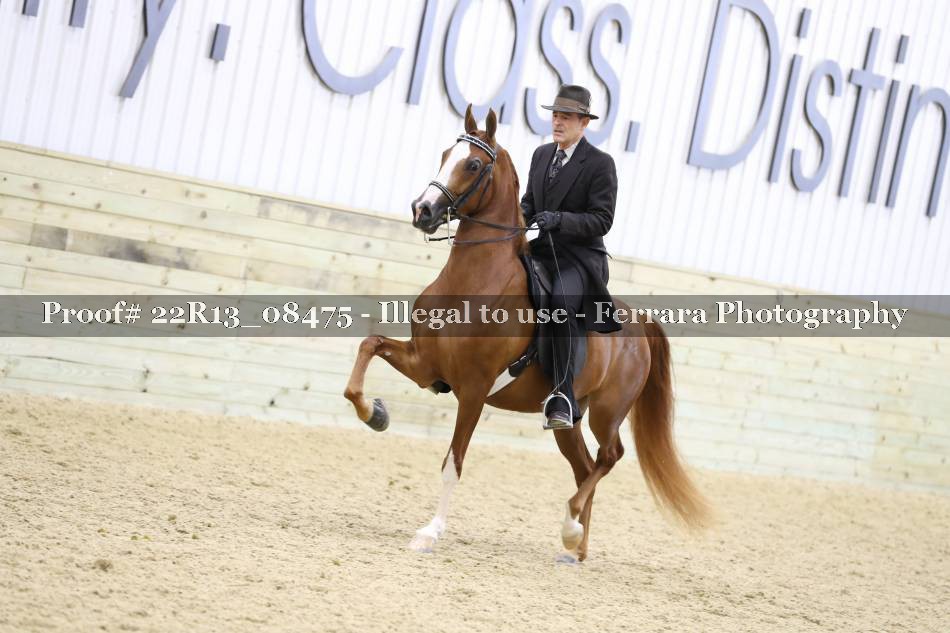 Proof 22R13_08475