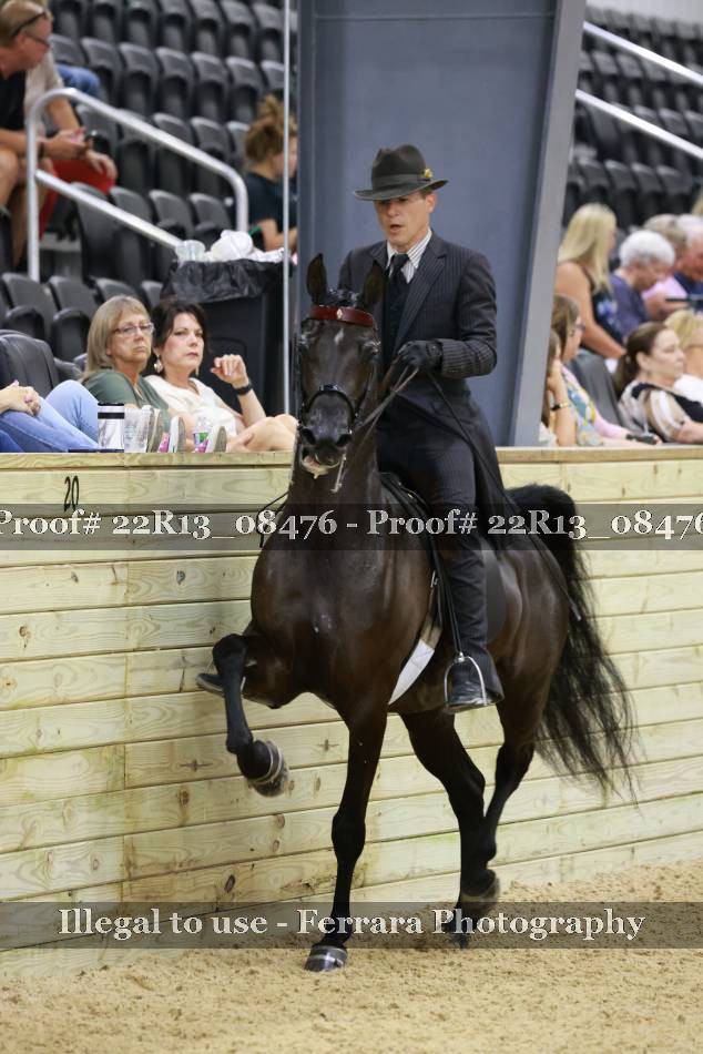 Proof 22R13_08476