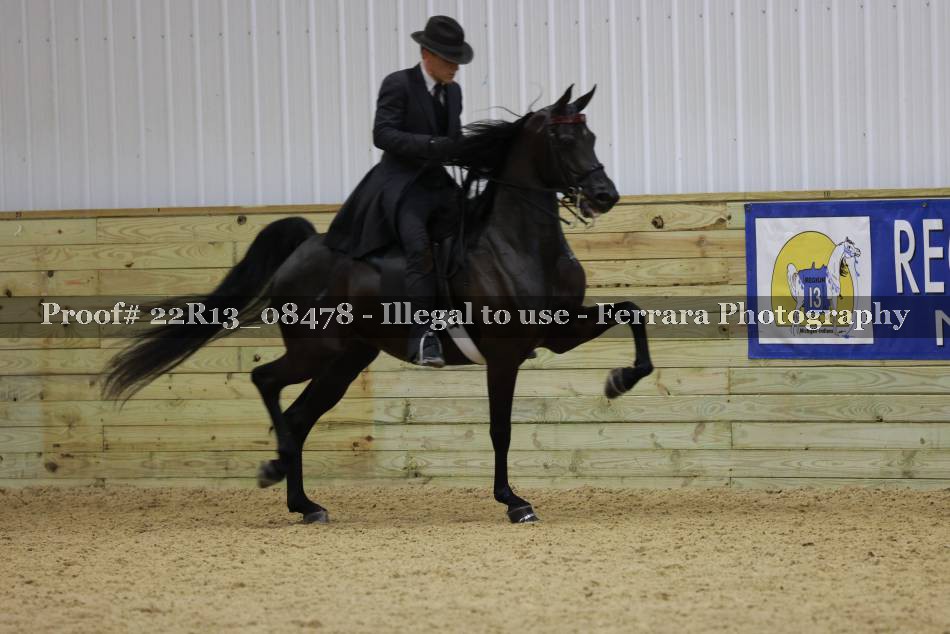 Proof 22R13_08478