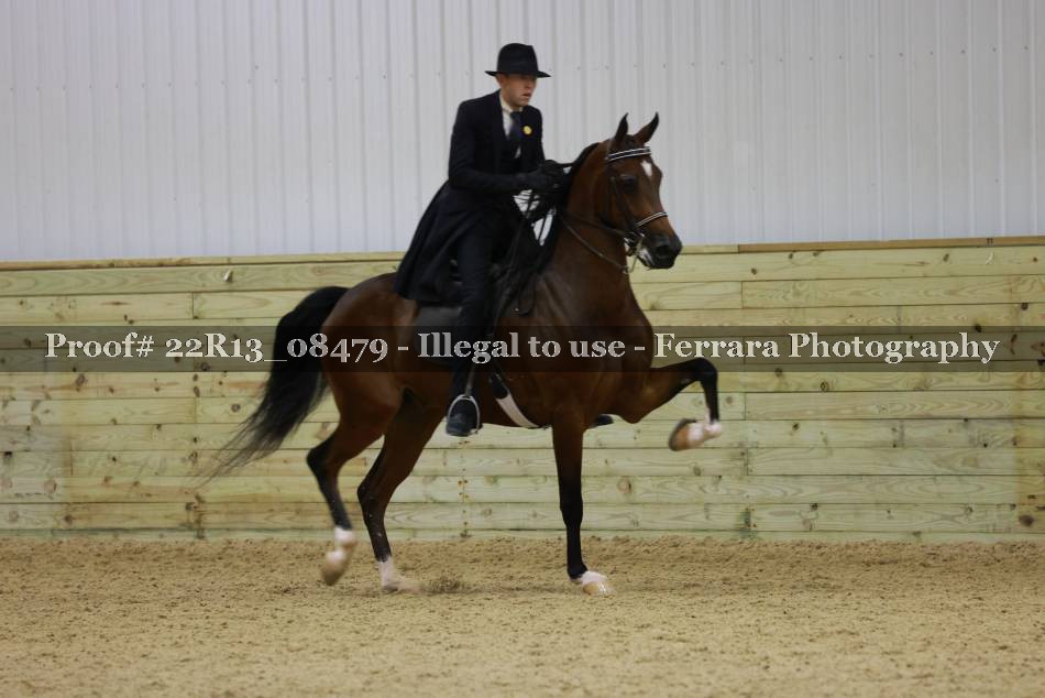 Proof 22R13_08479