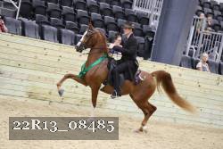 22R13_08485 proof