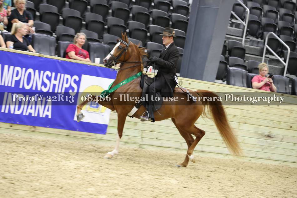 Proof 22R13_08486