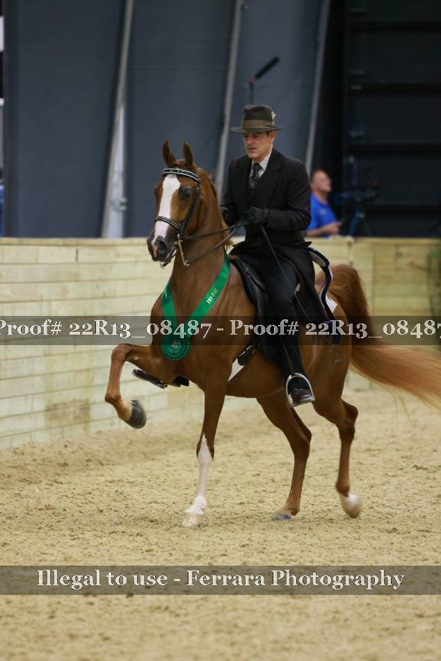 Proof 22R13_08487