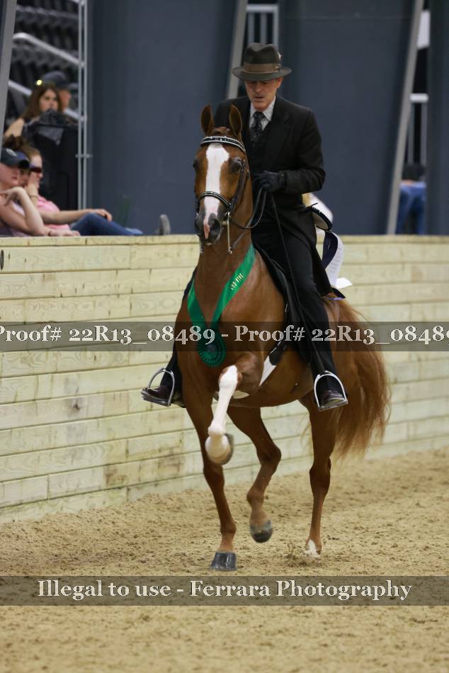 Proof 22R13_08489