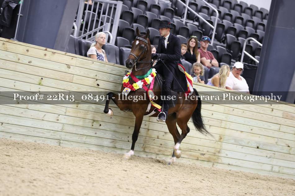 Proof 22R13_08491