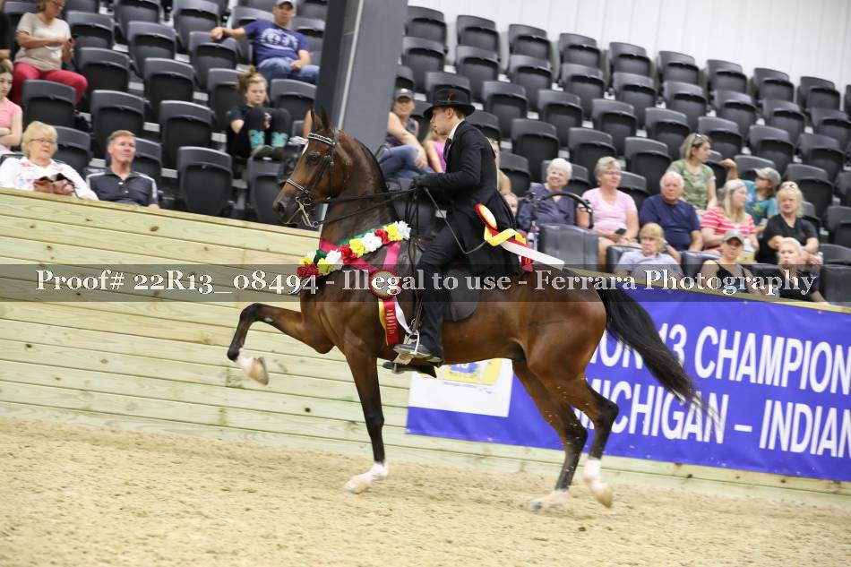 Proof 22R13_08494