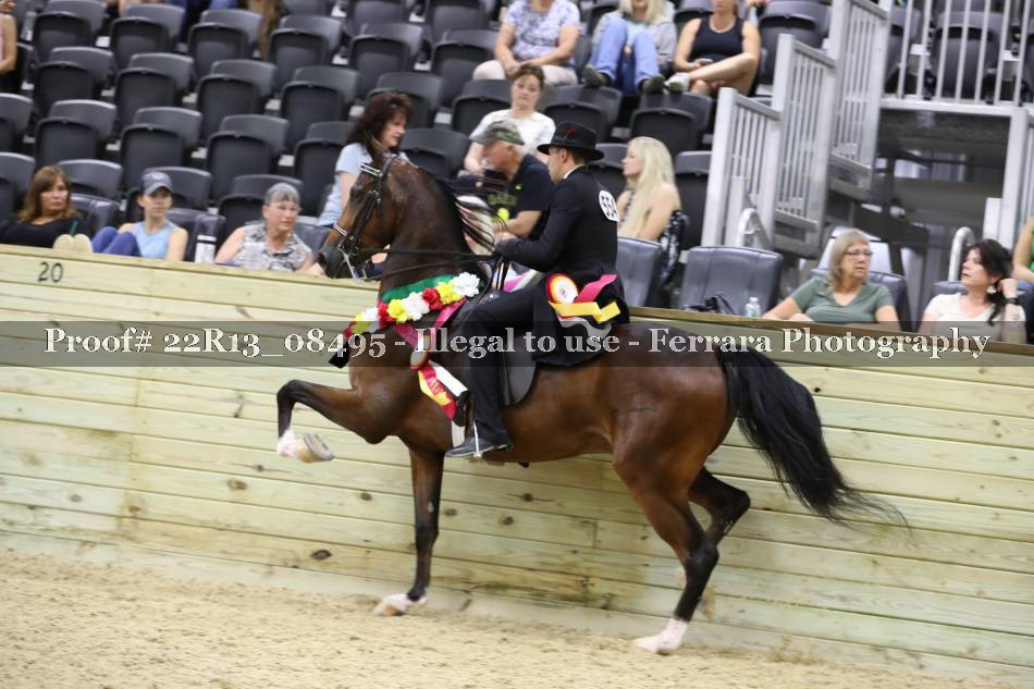 Proof 22R13_08495