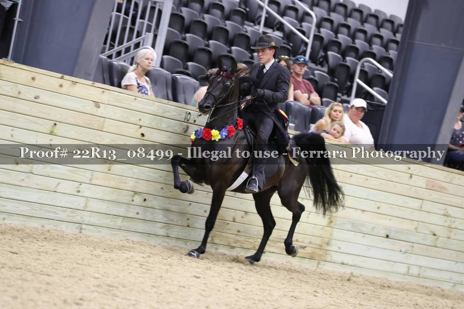Proof 22R13_08499