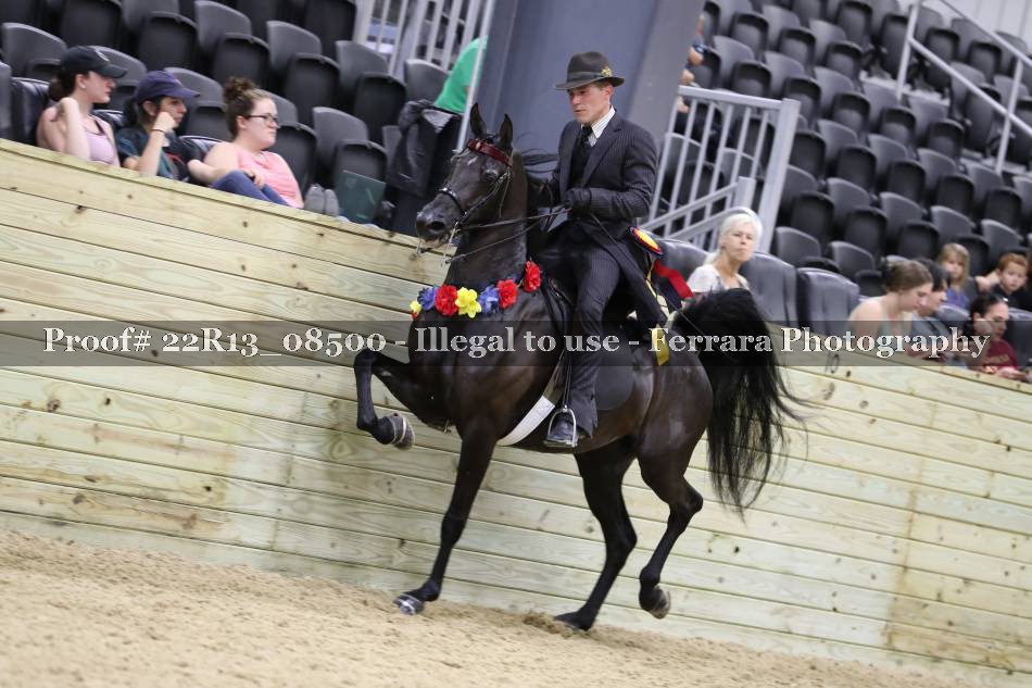 Proof 22R13_08500