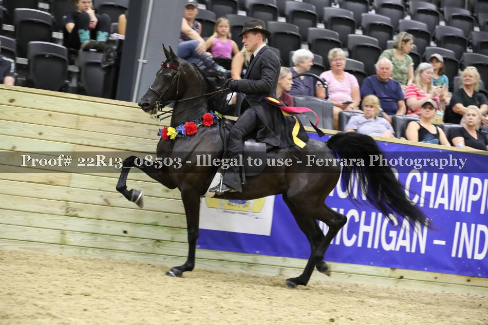 Proof 22R13_08503