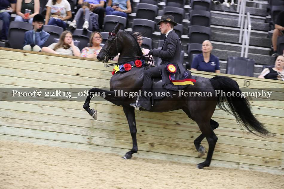 Proof 22R13_08504