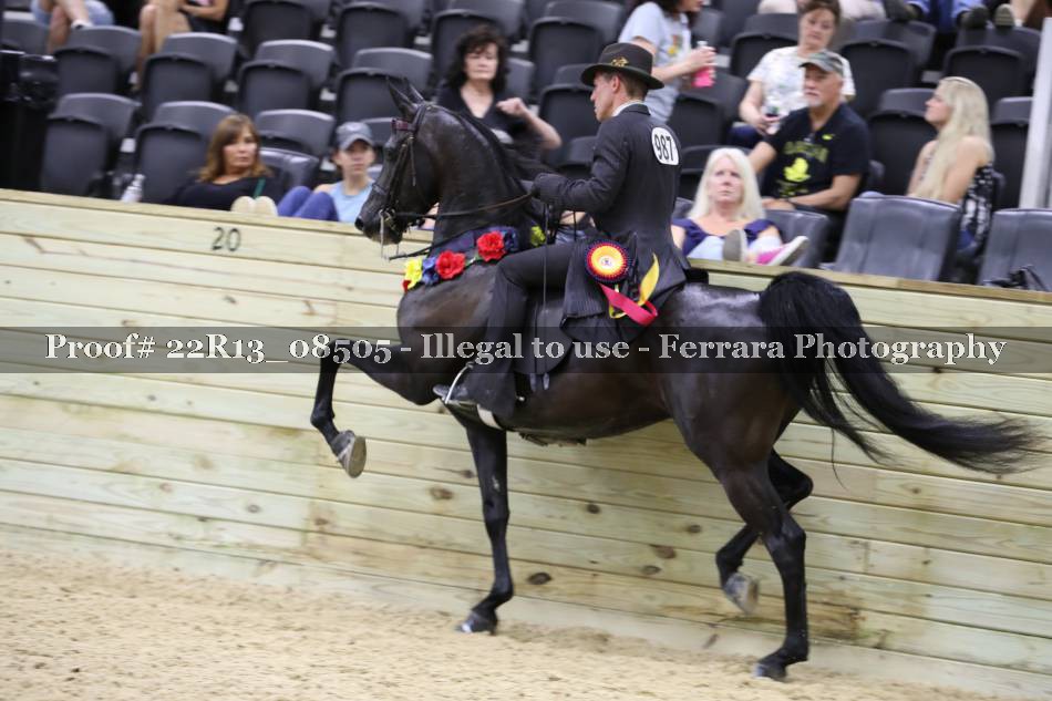 Proof 22R13_08505