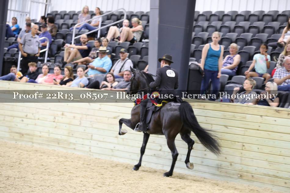 Proof 22R13_08507