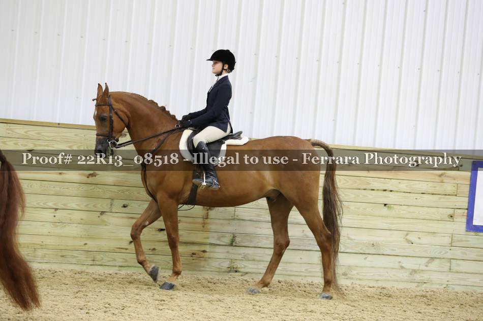 Proof 22R13_08518