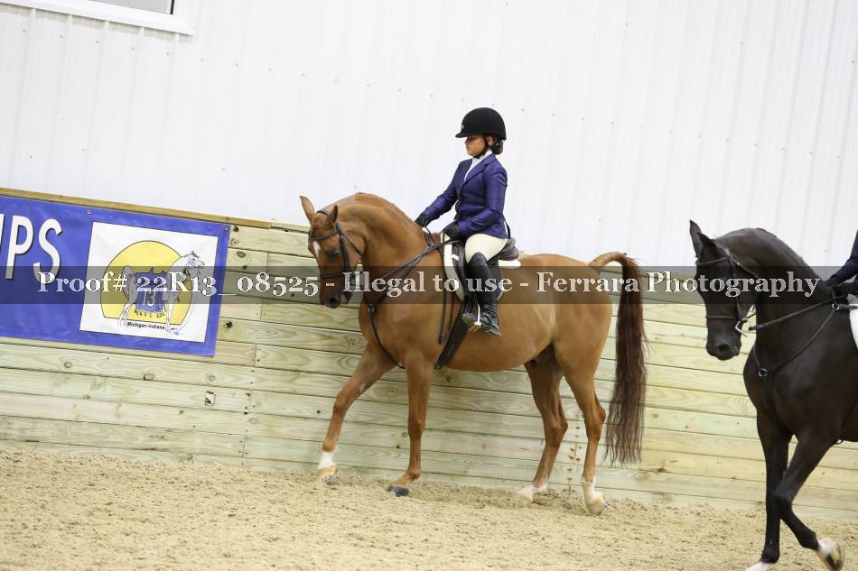 Proof 22R13_08525