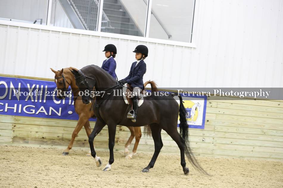 Proof 22R13_08527