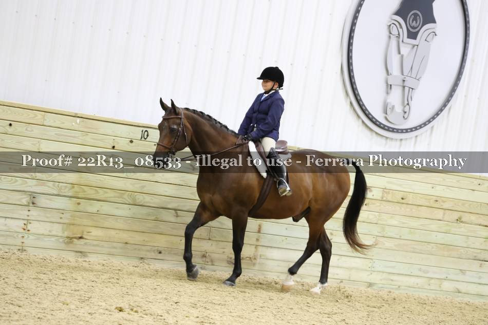 Proof 22R13_08533