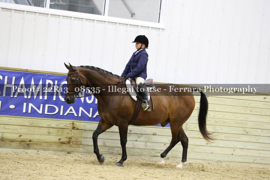 Proof 22R13_08535