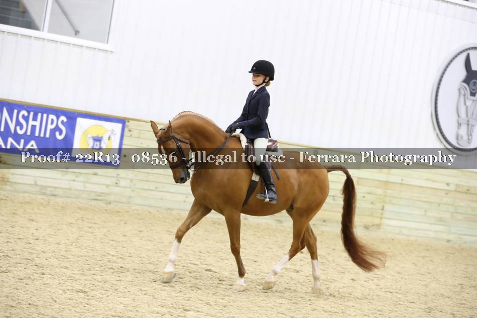 Proof 22R13_08536
