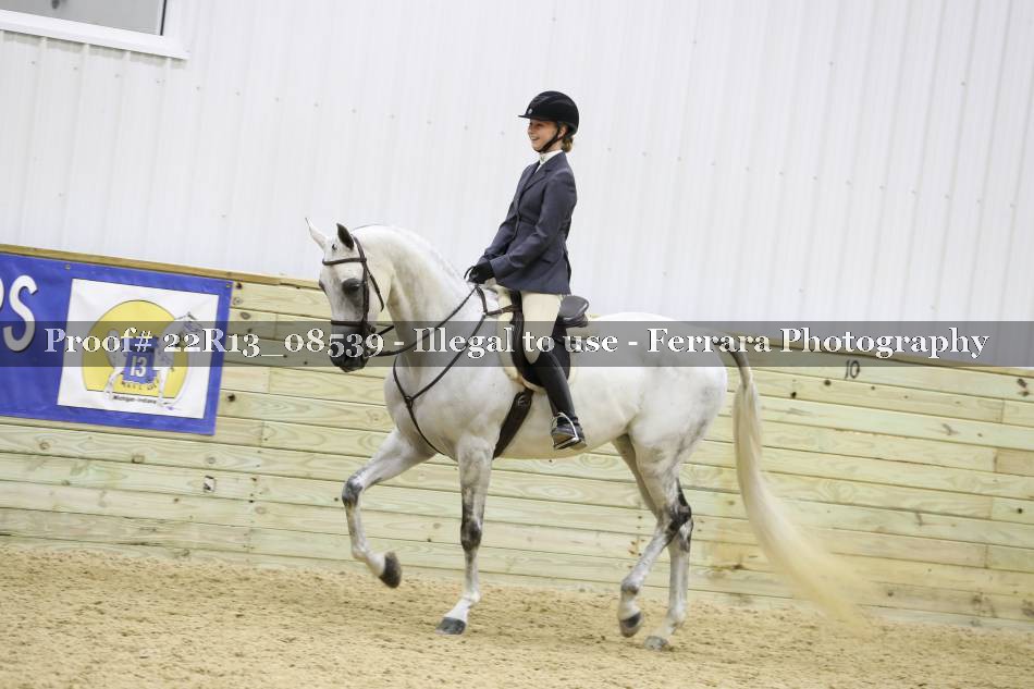 Proof 22R13_08539