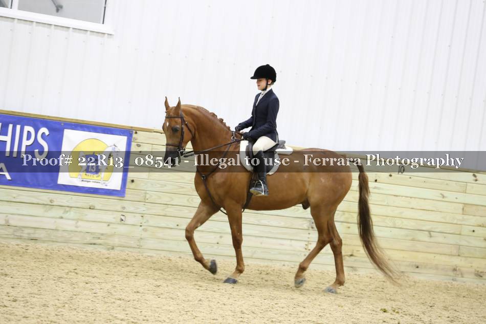 Proof 22R13_08541