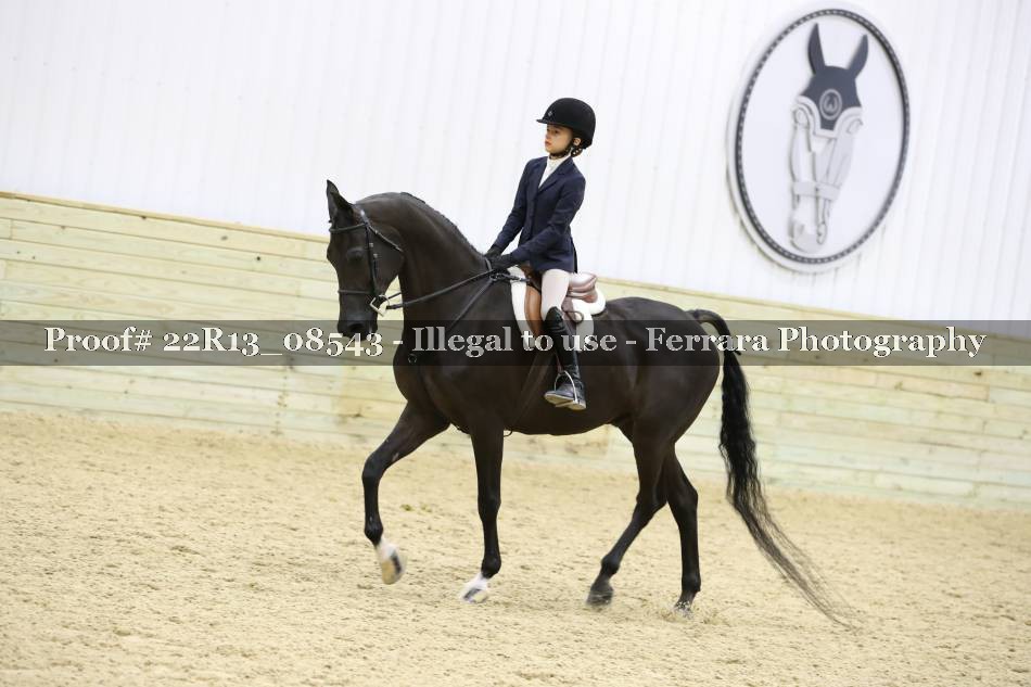Proof 22R13_08543