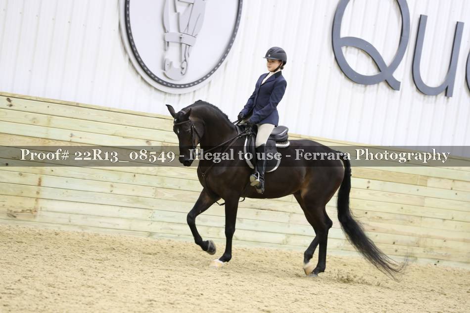 Proof 22R13_08549