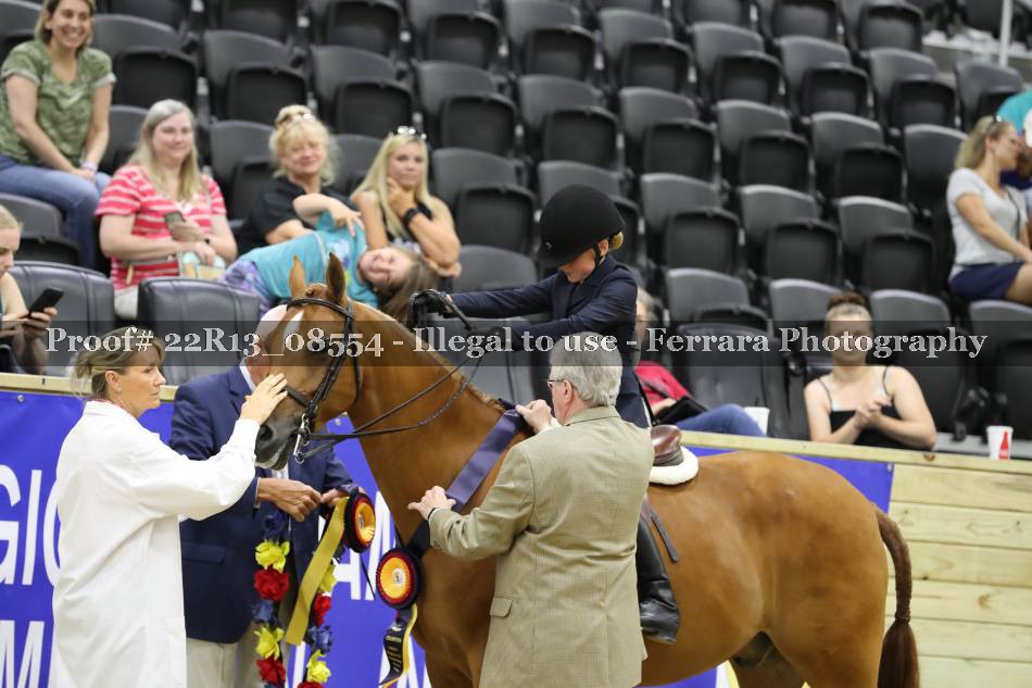 Proof 22R13_08554