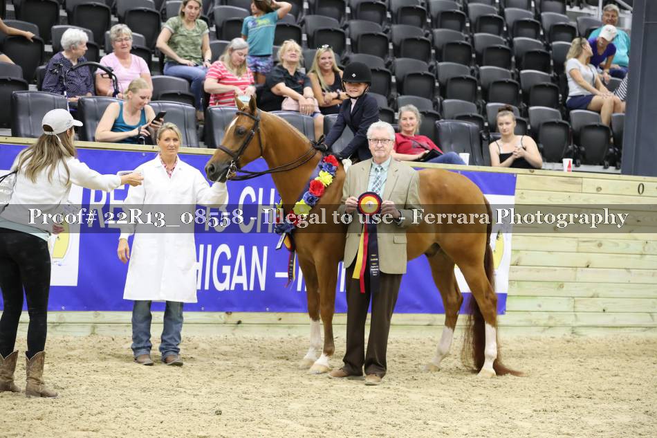 Proof 22R13_08558