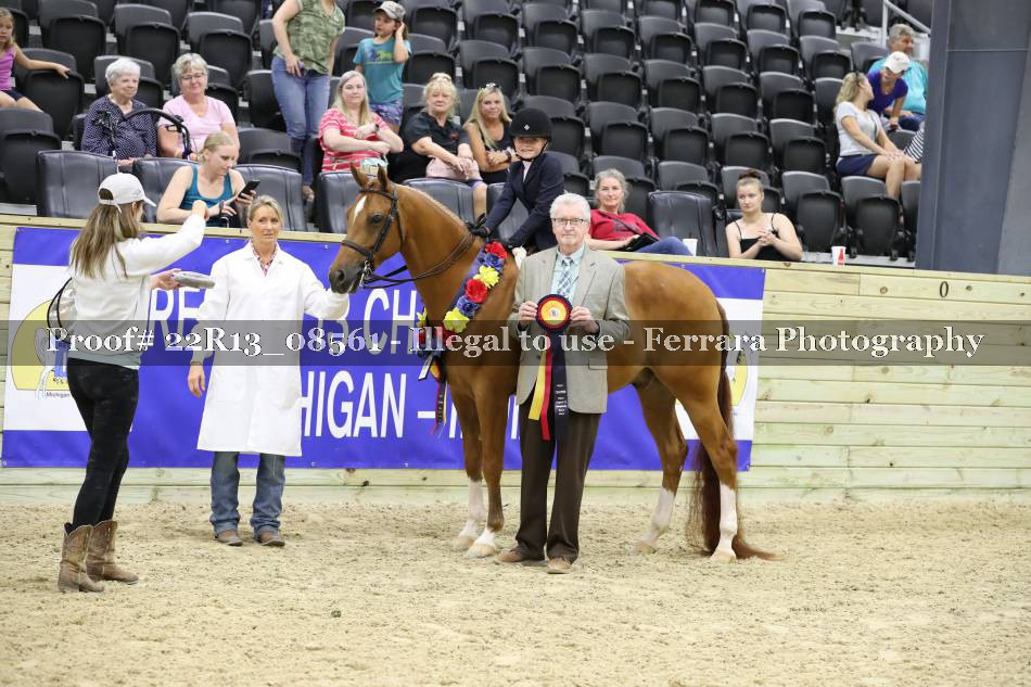 Proof 22R13_08561