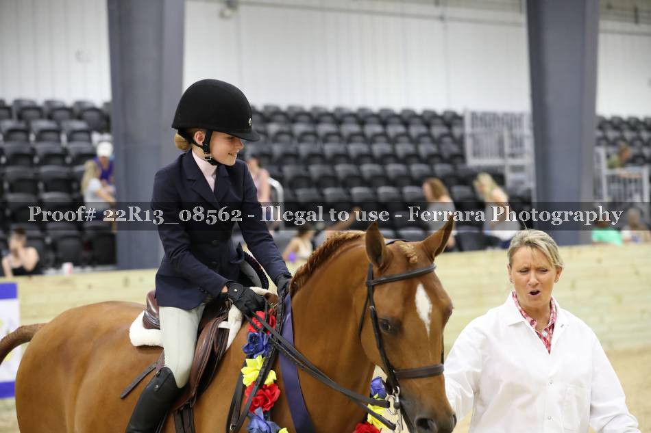 Proof 22R13_08562