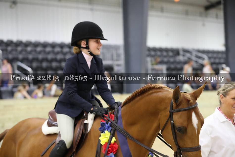 Proof 22R13_08563