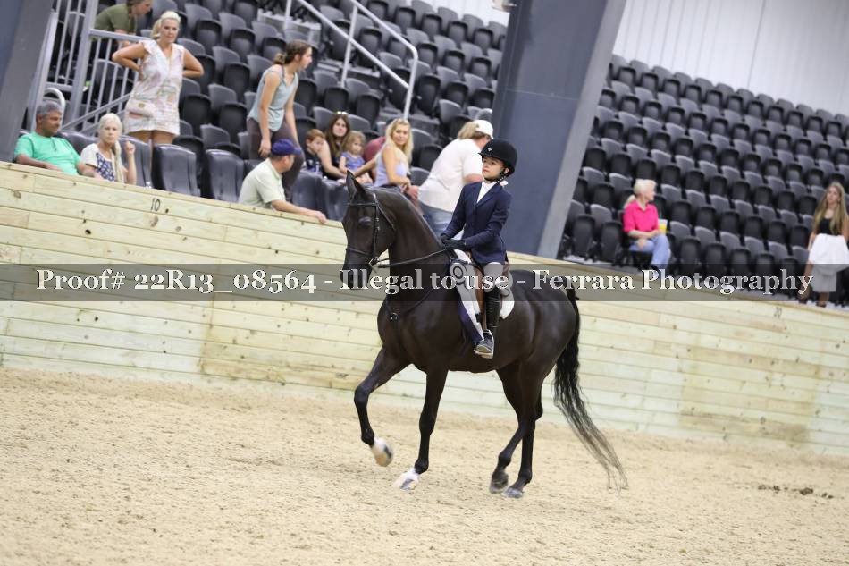Proof 22R13_08564