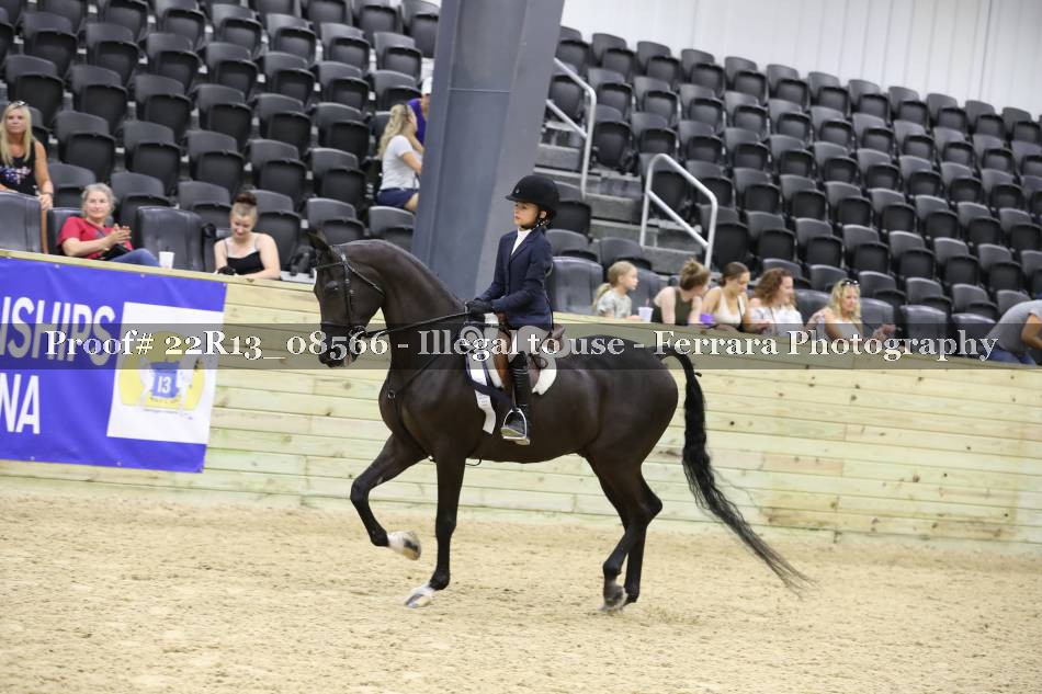 Proof 22R13_08566