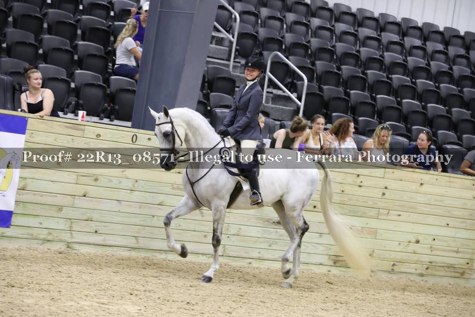 Proof 22R13_08571