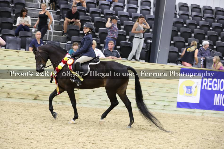 Proof 22R13_08587