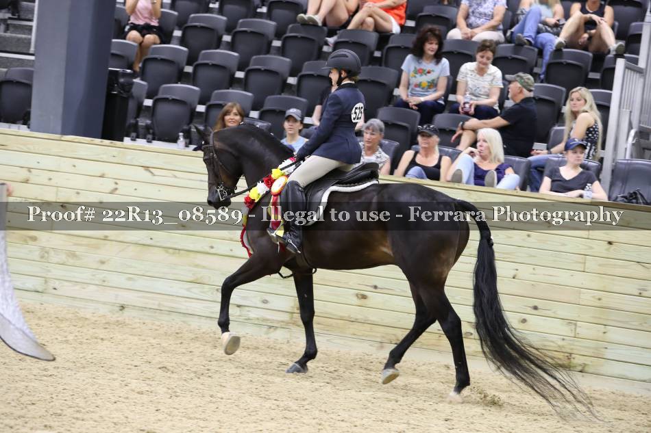 Proof 22R13_08589