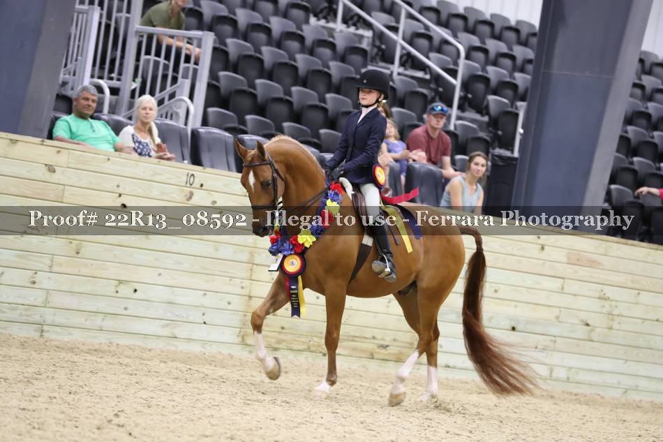 Proof 22R13_08592