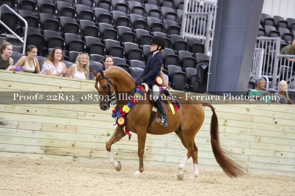 Proof 22R13_08593