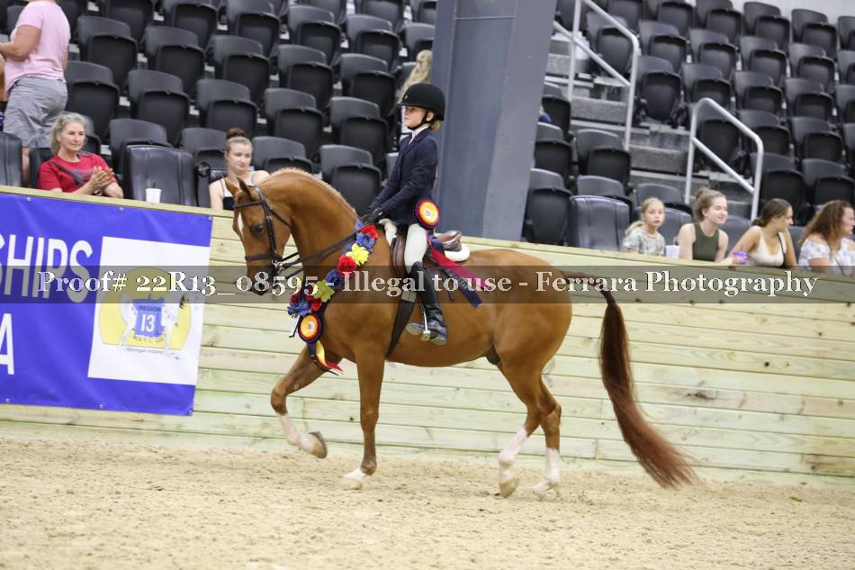 Proof 22R13_08595