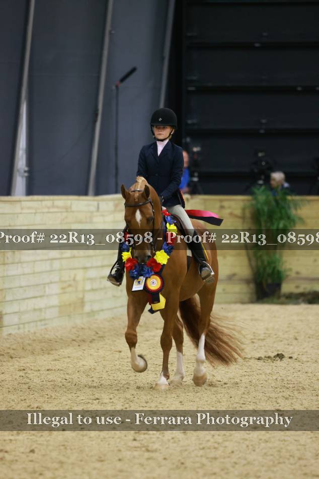 Proof 22R13_08598