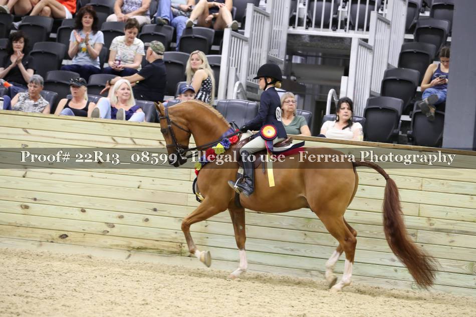 Proof 22R13_08599