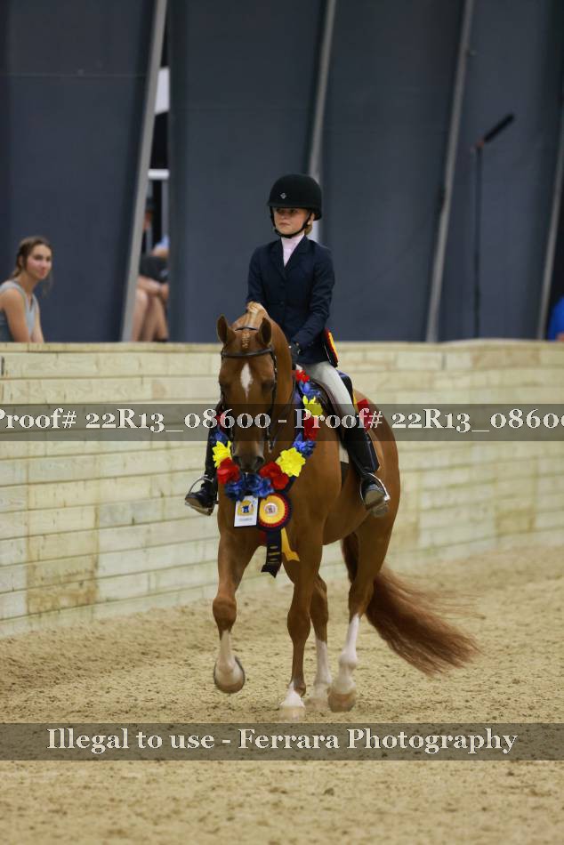 Proof 22R13_08600