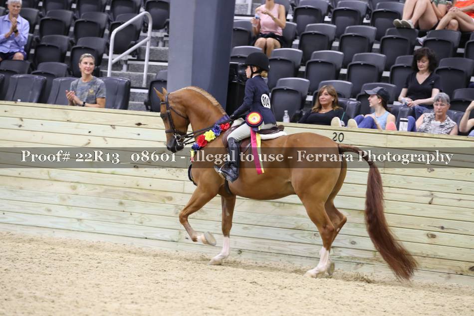 Proof 22R13_08601
