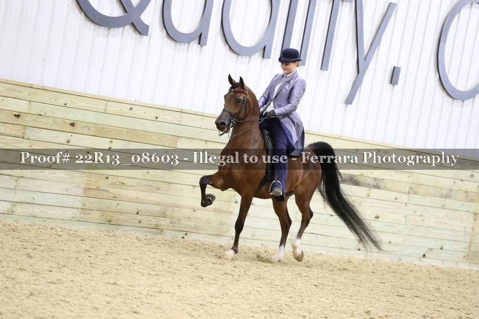 Proof 22R13_08603